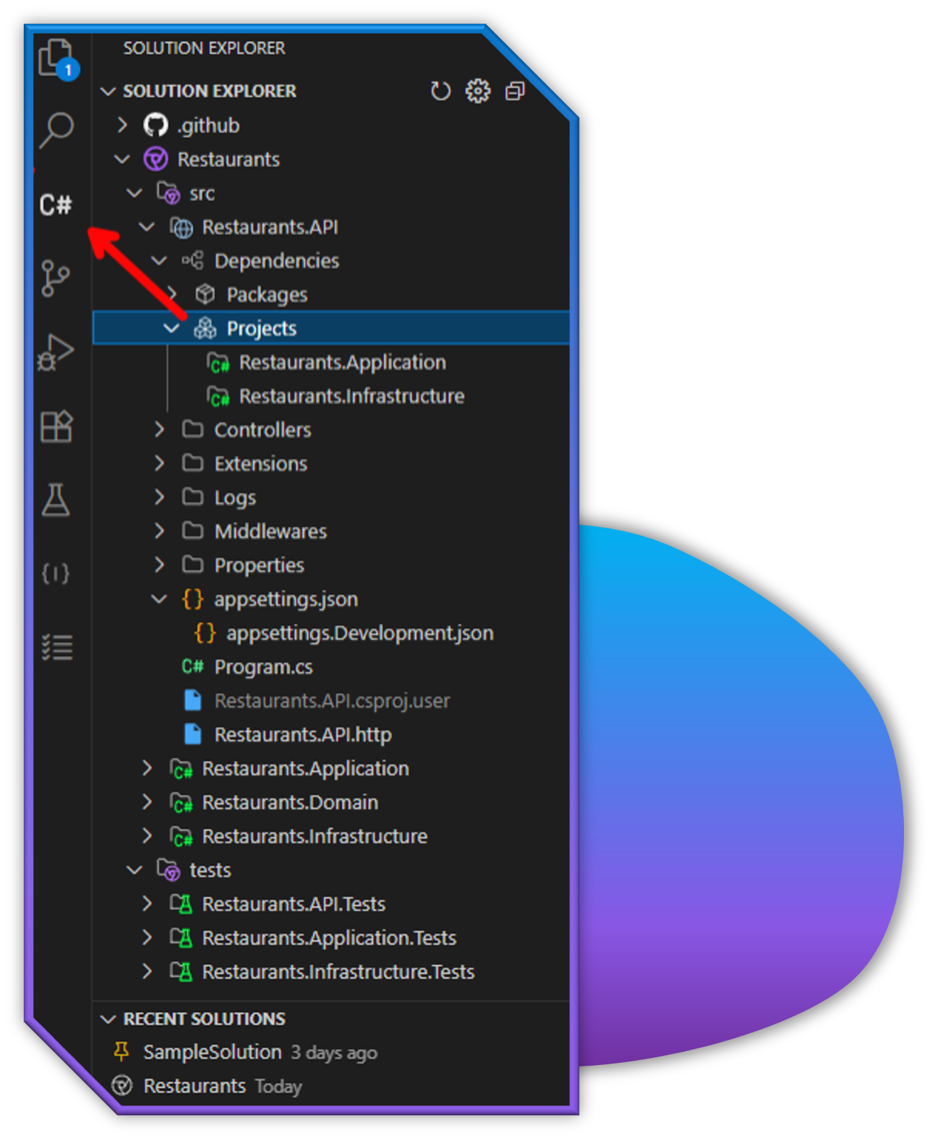 Solution Explorer